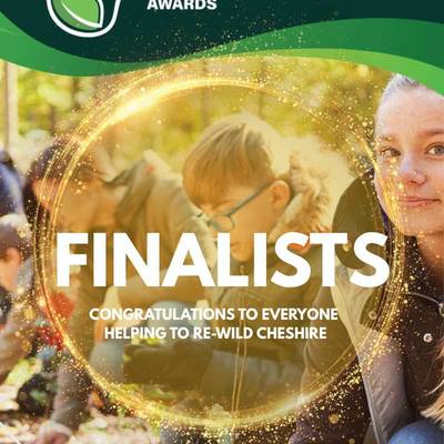 Wilder Cheshire Awards