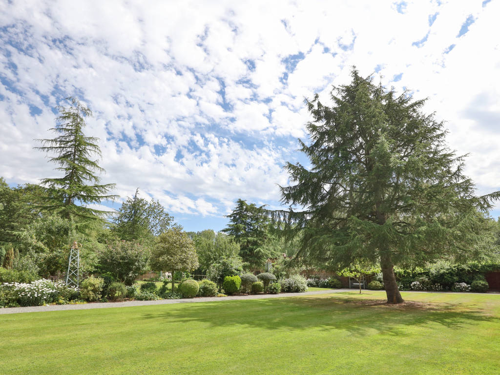 Trees on the estate